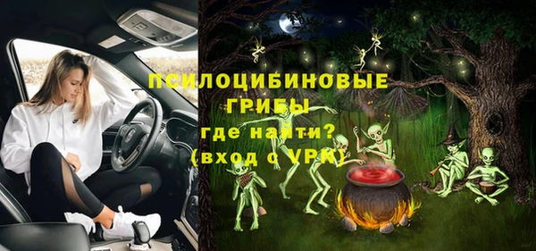 mdpv Козельск