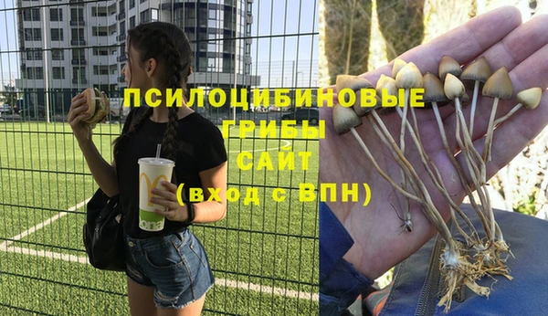меф Киреевск
